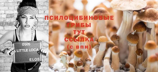 мяу мяу кристалл Арсеньев