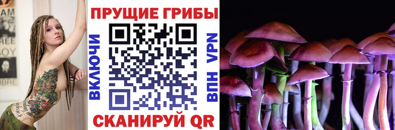 Купить  Полевской  Галлюциногенные грибы мухоморы 